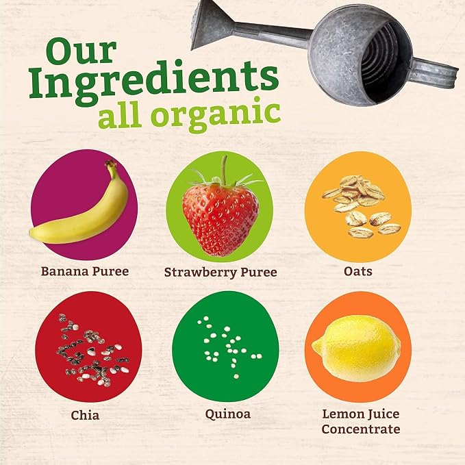 Pumpkin Tree Organics Super Oats & Seeds, Banana & Strawberry, 4 Ounce - Image 5