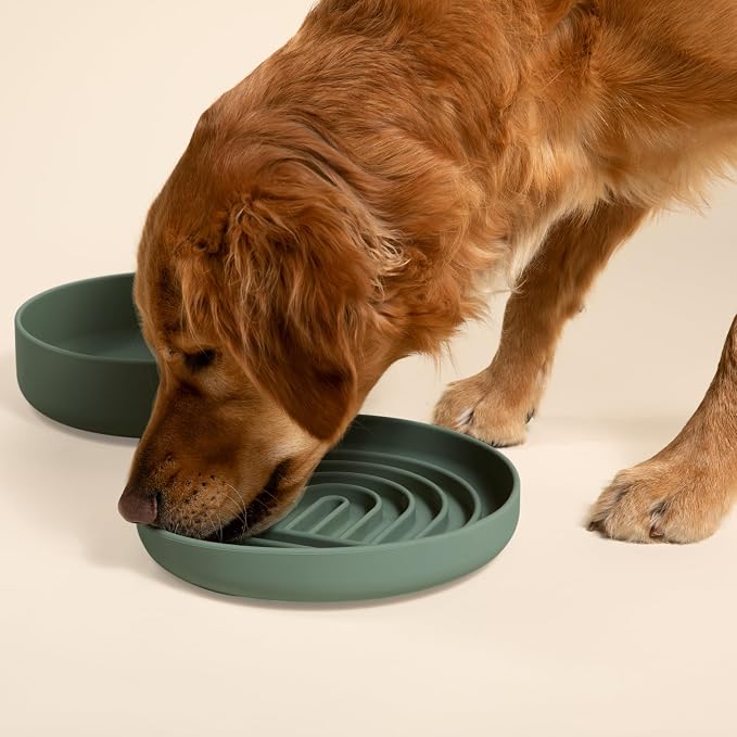 Should We Go? Slow Feeder for Dogs & Puppies, The Slowdown Bowl Silicone Slow - Image 7