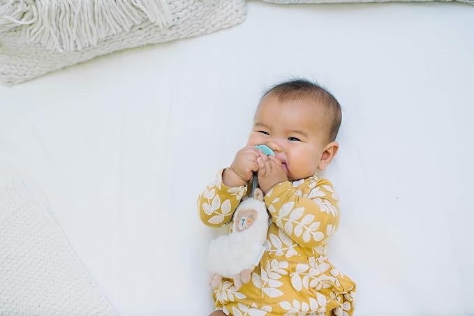 Itzy Ritzy Pacifier & Lovey Set - Image 4