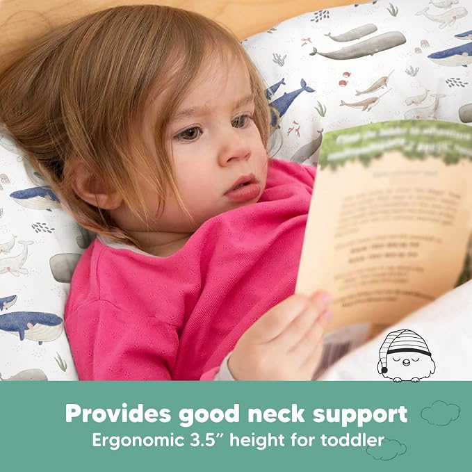 Toddler Pillow with Pillowcase - Image 5