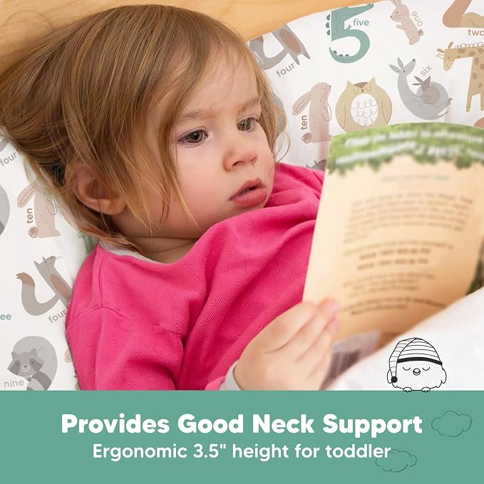 Toddler Pillow with Pillowcase - Image 5