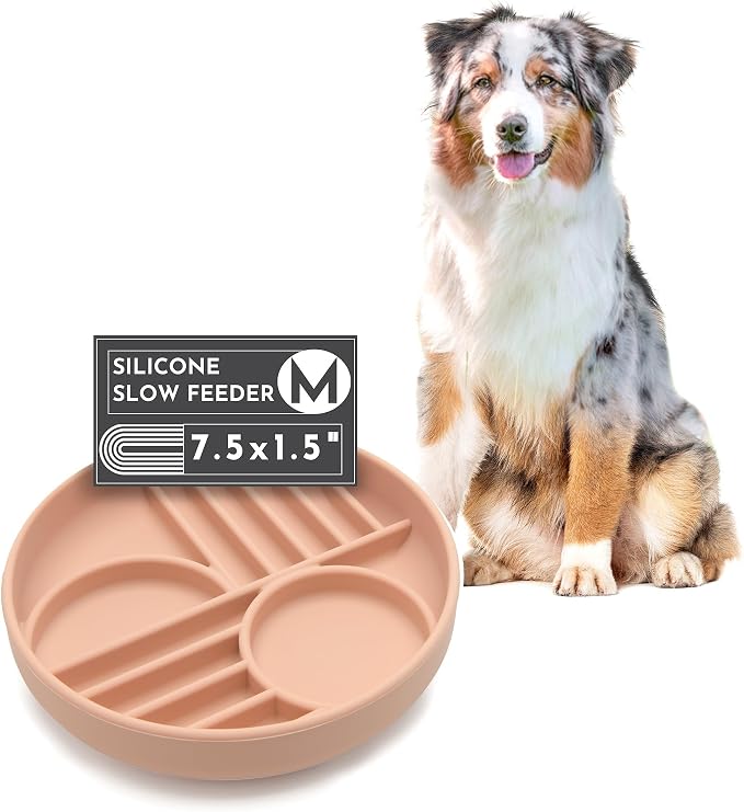 Should We Go? Slow Feeder for Dogs & Puppies, The Slowdown Bowl Silicone Slow by ShouldWeGo