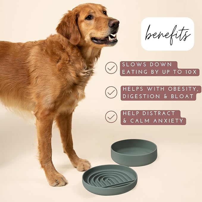 Should We Go? Slow Feeder for Dogs & Puppies, The Slowdown Bowl Silicone Slow - Image 2