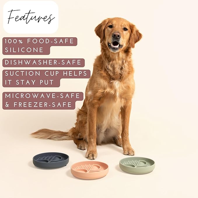 Should We Go? Slow Feeder for Dogs & Puppies, The Slowdown Bowl Silicone Slow - Image 2