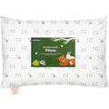 Toddler Pillow with Pillowcase by KeaBabies