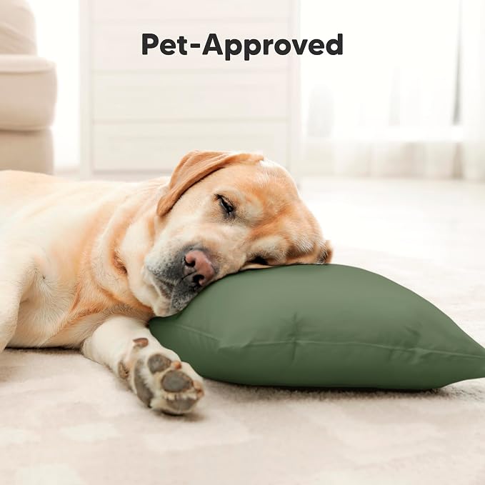 Toddler Pillow with Pillowcase - Image 8