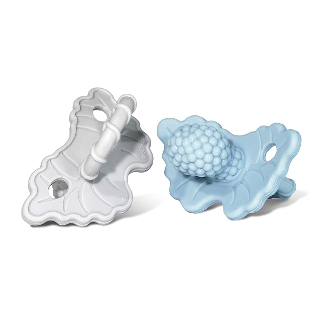 RaZbaby RaZberry Silicone Teether Pacifier – Teething Relief by RaZbaby