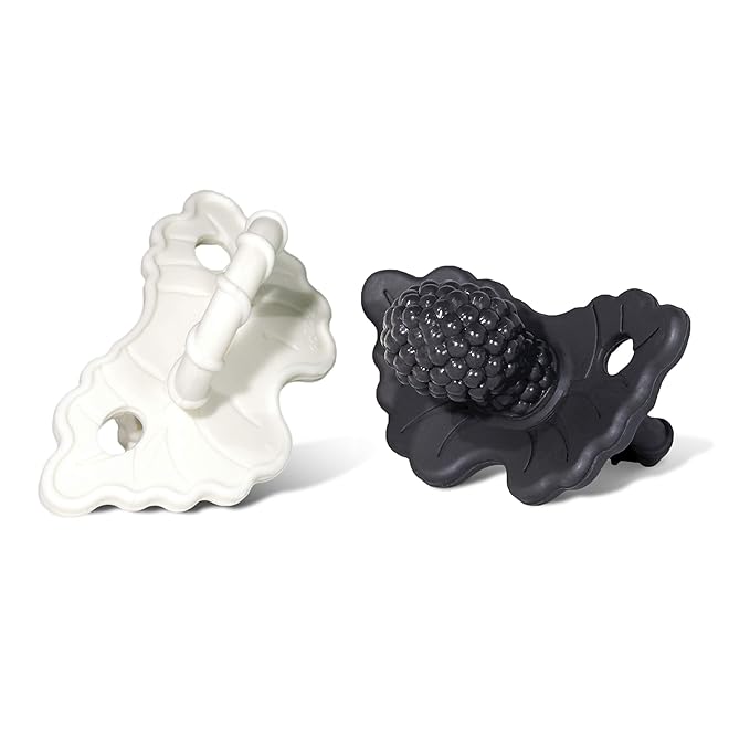 RaZbaby RaZberry Silicone Teether Pacifier – Teething Relief by RaZbaby