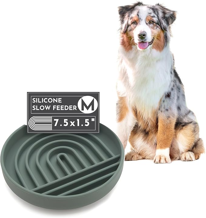 Should We Go? Slow Feeder for Dogs & Puppies, The Slowdown Bowl Silicone Slow by ShouldWeGo