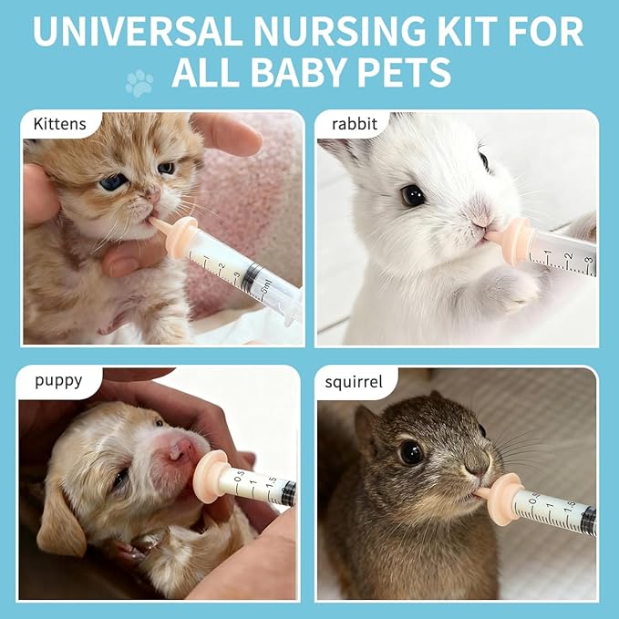 Pet Nursing Kit – Kitten Bottle Feeding Set - Image 7