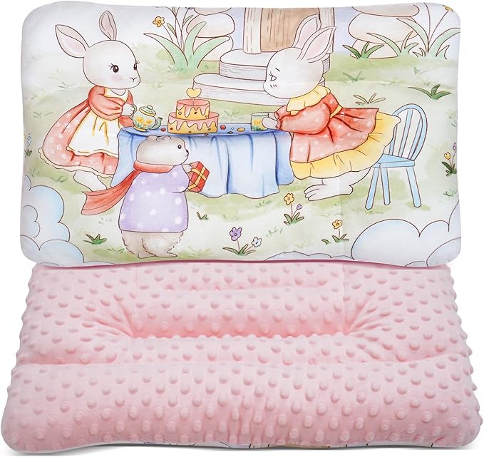 Reidio 1Pcs Toddler Pillow Double Sided Warm Plush & Minky Dot Fabric Kids by Reidio