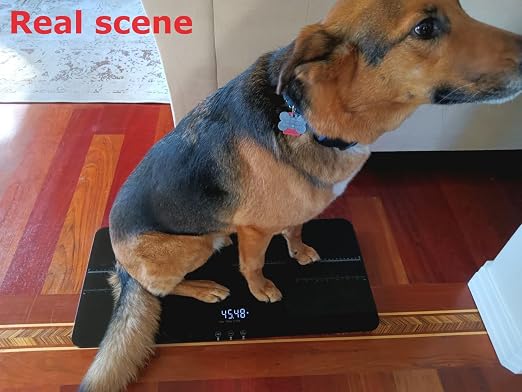 SIKE Medium-Small Veterinary Scale, Dog Scale Accuracy, Max 220lbs, Digital Pet - Image 8