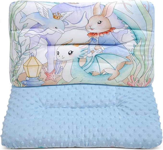 Reidio 1Pcs Toddler Pillow Double Sided Warm Plush & Minky Dot Fabric Kids by Reidio