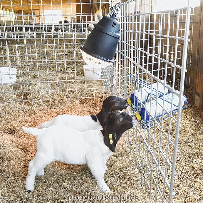 Premier 1 Shepherd's Choice Goat Kid Milk Replacer - 8 lb Bucket - Image 2