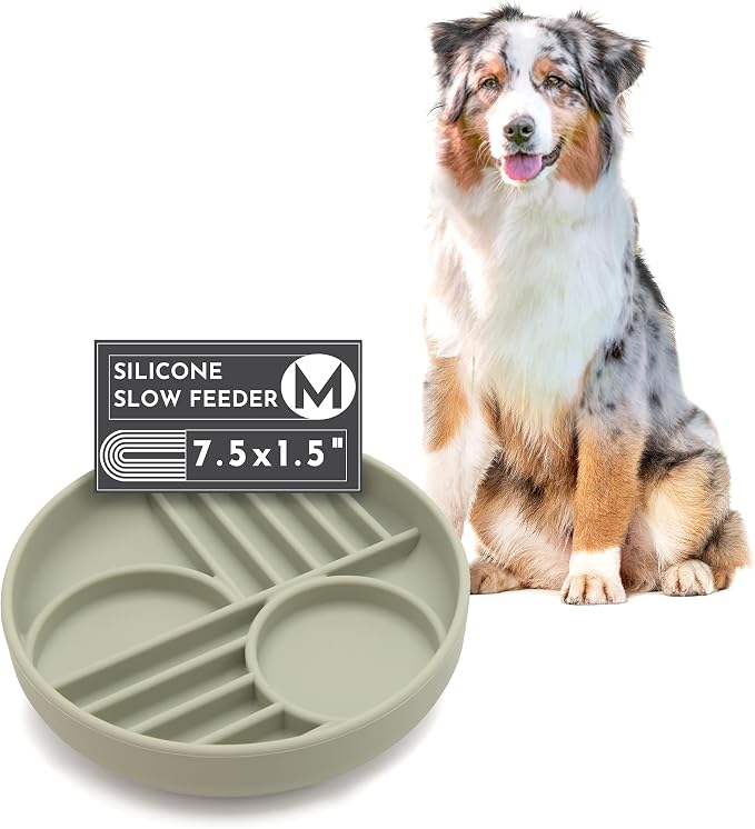 Should We Go? Slow Feeder for Dogs & Puppies, The Slowdown Bowl Silicone Slow by ShouldWeGo