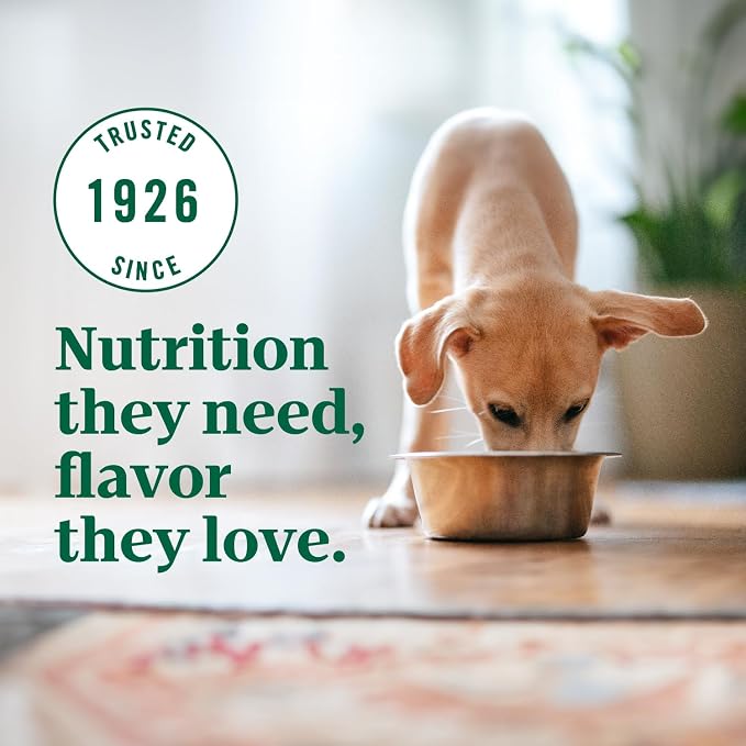Nutro Ultra High Protein Dry Puppy Food, Trio of Proteins from Chicken - Image 9