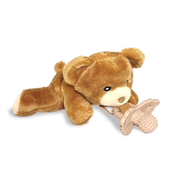 RaZbaby Bear RaZbuddy w/RaZberry Teething Relief Pacifier – Soothes Sore Gums by RaZbaby