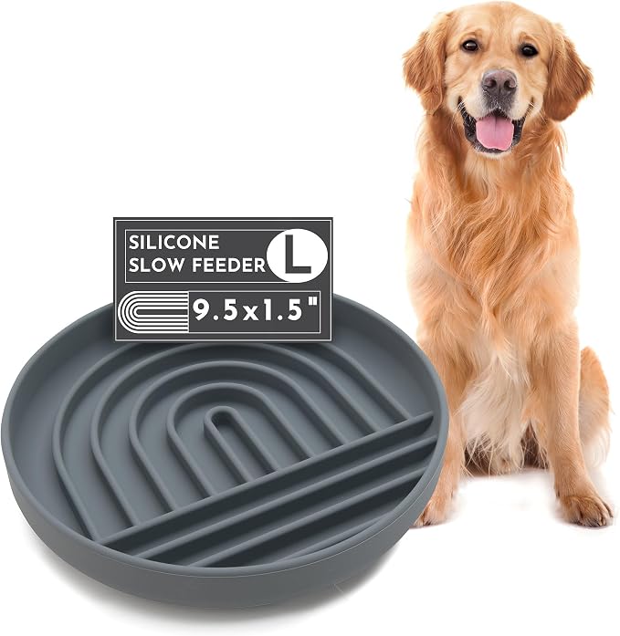 Should We Go? Slow Feeder for Dogs & Puppies, The Slowdown Bowl Silicone Slow by ShouldWeGo