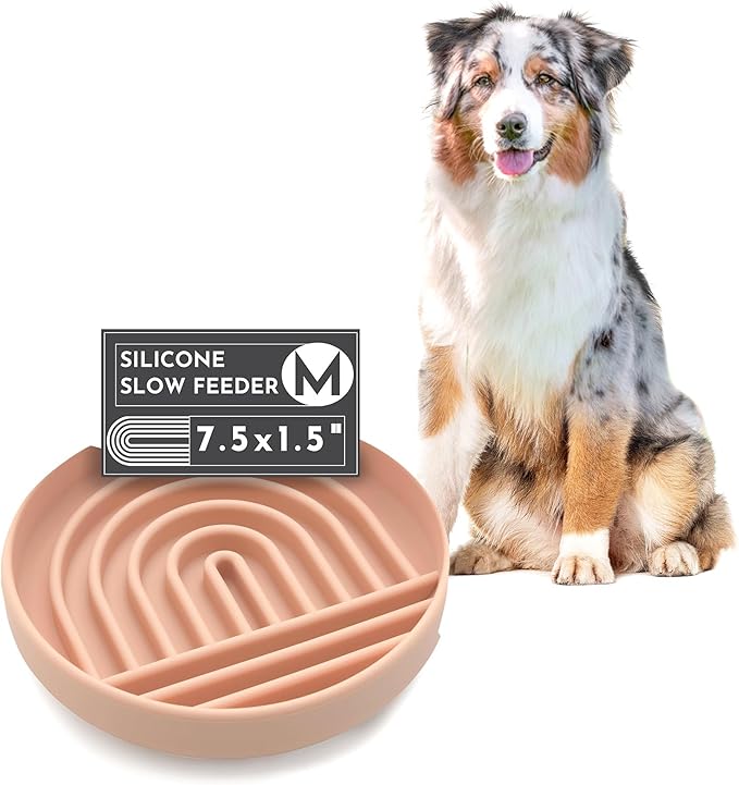 Should We Go? Slow Feeder for Dogs & Puppies, The Slowdown Bowl Silicone Slow by ShouldWeGo