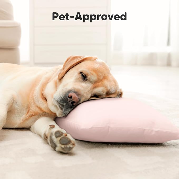 Toddler Pillow with Pillowcase - Image 8
