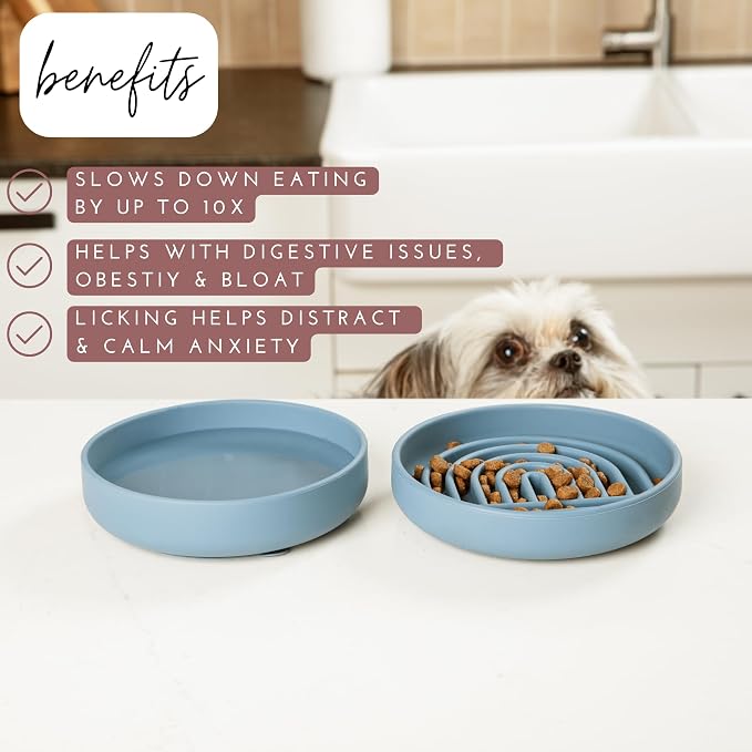 Should We Go? Slow Feeder for Dogs & Cats, The Slowdown Bowl Silicone Slow - Image 2