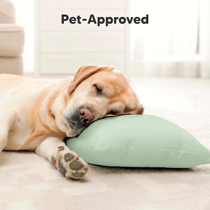 Toddler Pillow with Pillowcase - Image 8
