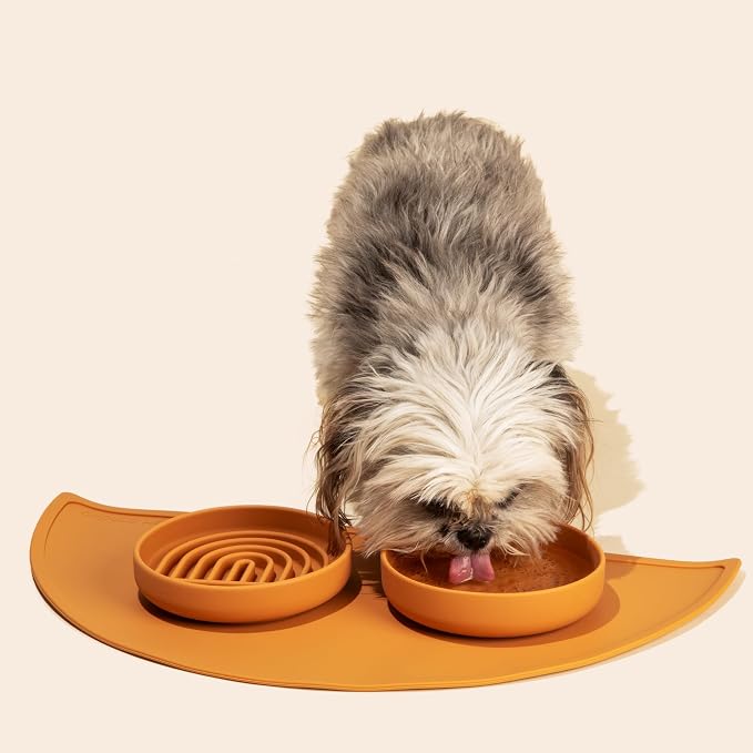 Should We Go? Slow Feeder for Dogs & Cats, The Slowdown Bowl Silicone Slow - Image 7