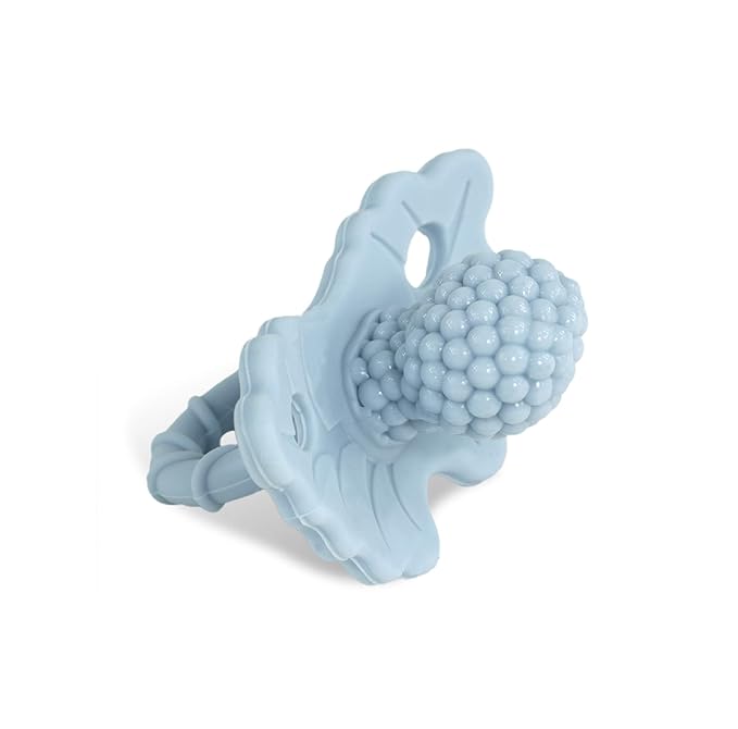 RaZbaby RaZberry Silicone Teether Pacifier – Teething Relief by RaZbaby