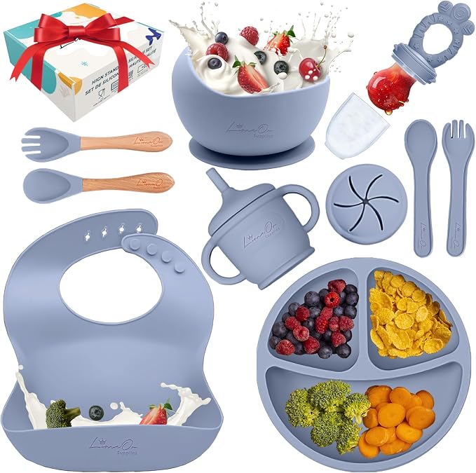 Silicone Baby Feeding Set – 10 Pcs Baby Led Weaning Supplies & Self Feeding Kit by Unknown