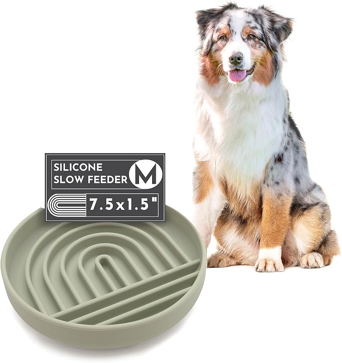 Should We Go? Slow Feeder for Dogs & Puppies, The Slowdown Bowl Silicone Slow by ShouldWeGo