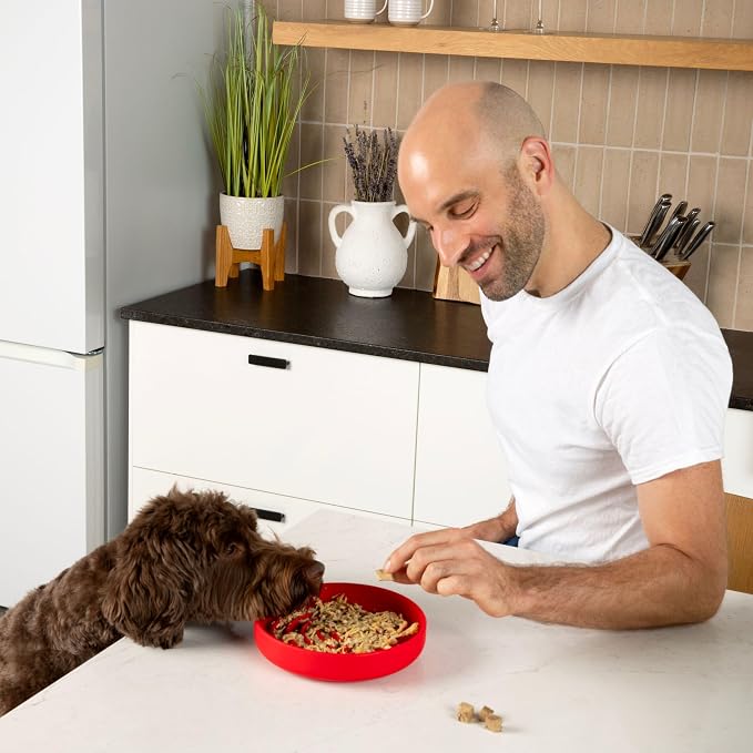 Should We Go? Slow Feeder for Dogs & Puppies, The Slowdown Bowl Silicone Slow - Image 7