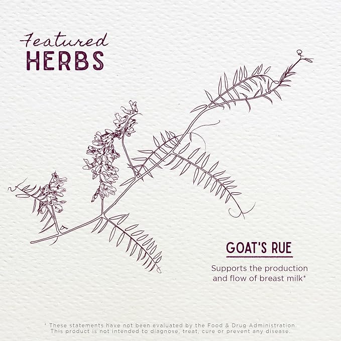 WishGarden Herbs Goat's Rue Lactation Supplement - Image 4
