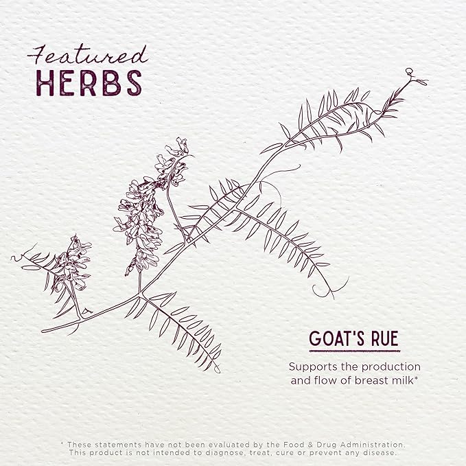 WishGarden Herbs Goat's Rue Lactation Supplement - Image 4