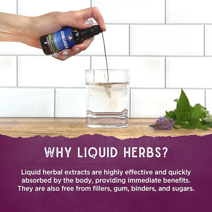 WishGarden Herbs Sleepy Nights & Fresh Mornings - Image 5
