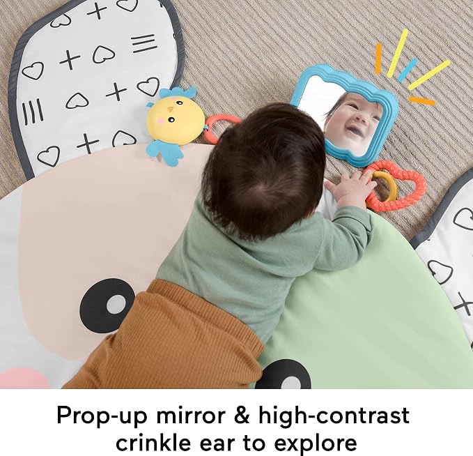 Fisher-Price Baby Tummy Time Toy, Puppy Perfection Giant Play Mat - Image 3