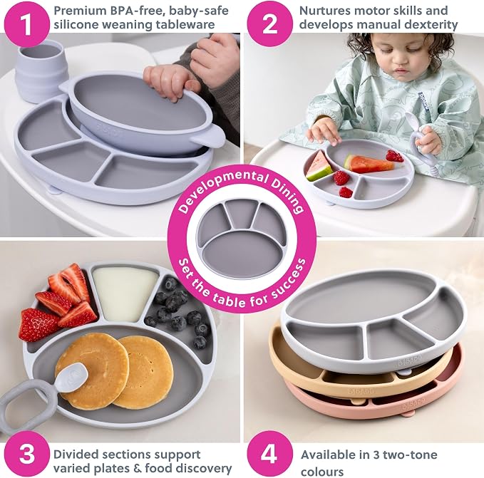 BIBaDO - Silicone Suction Divider Plate - Toddler Plates - Help Develop Motor - Image 5