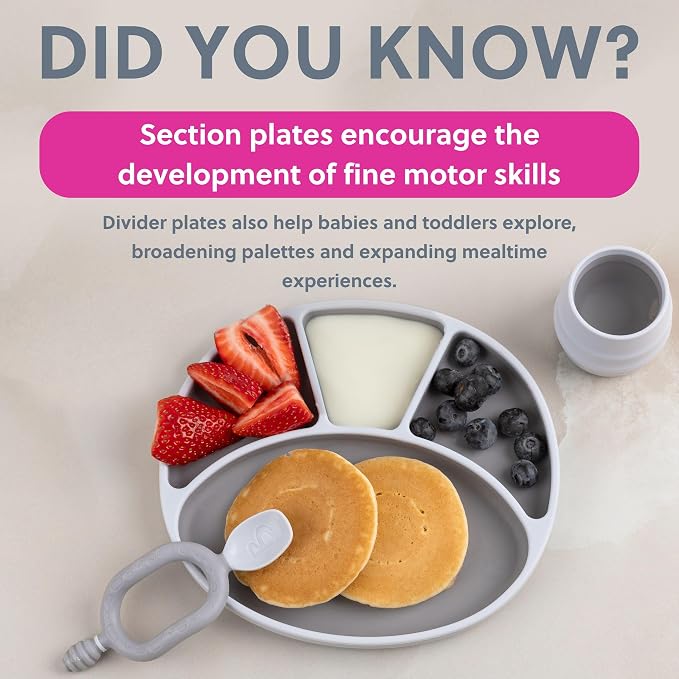 BIBaDO - Silicone Suction Divider Plate - Toddler Plates - Help Develop Motor - Image 6