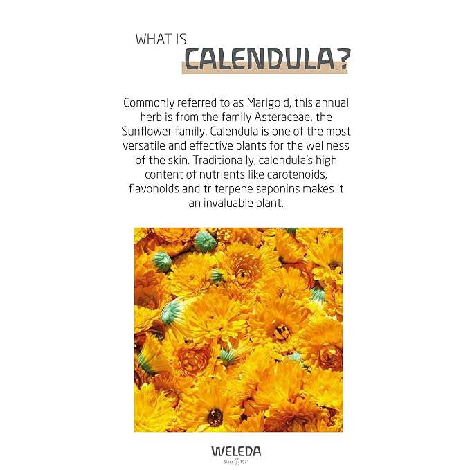 Weleda Baby Calendula Body Lotion and Shampoo-Body Wash Bundle, 6.8 Fluid Ounce - Image 3