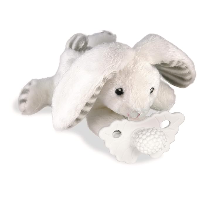 RaZbaby Bunny RaZbuddy w/RaZberry Teething Relief Pacifier – Soothes Sore Gums by RaZbaby