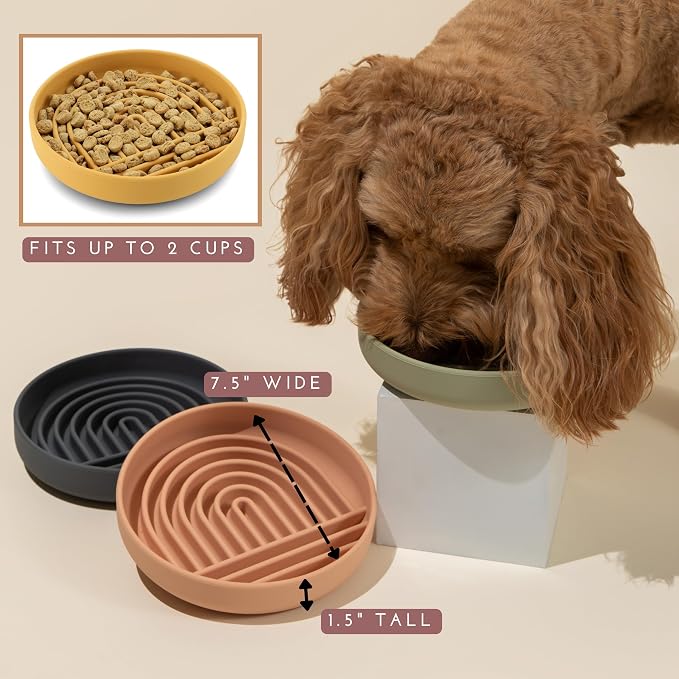 Should We Go? Slow Feeder for Dogs & Puppies, The Slowdown Bowl Silicone Slow - Image 5