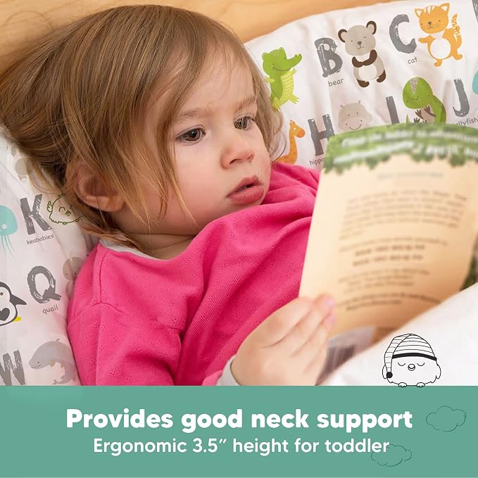 Toddler Pillow with Pillowcase - Image 5