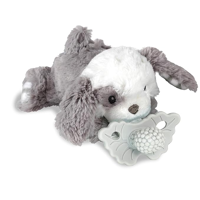 RaZbaby Puppy RaZbuddy w/RaZberry Teething Relief Pacifier – Soothes Sore Gums by RaZbaby