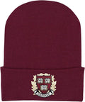 College Baby NCAA Officially Licensed Infant Knit Cap by CollegeBaby
