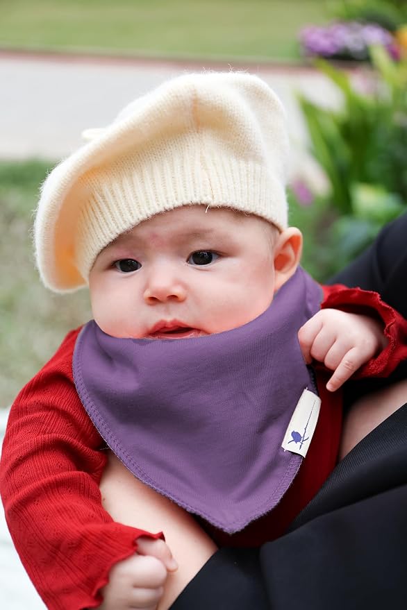 Blue Wren Magnetic Bandana Drool Bibs 5-pack - Image 3