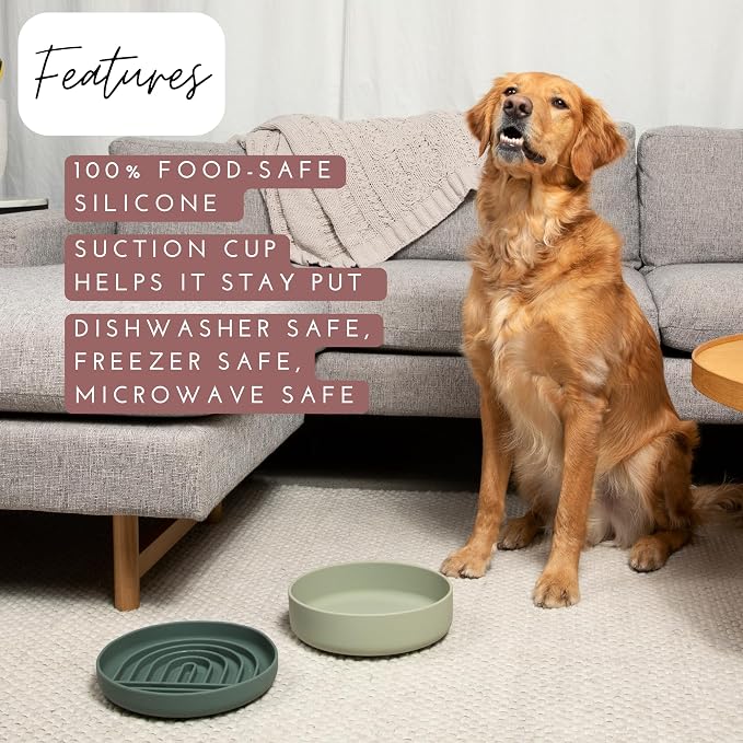 Should We Go? Slow Feeder for Dogs & Puppies, The Slowdown Bowl Silicone Slow - Image 3