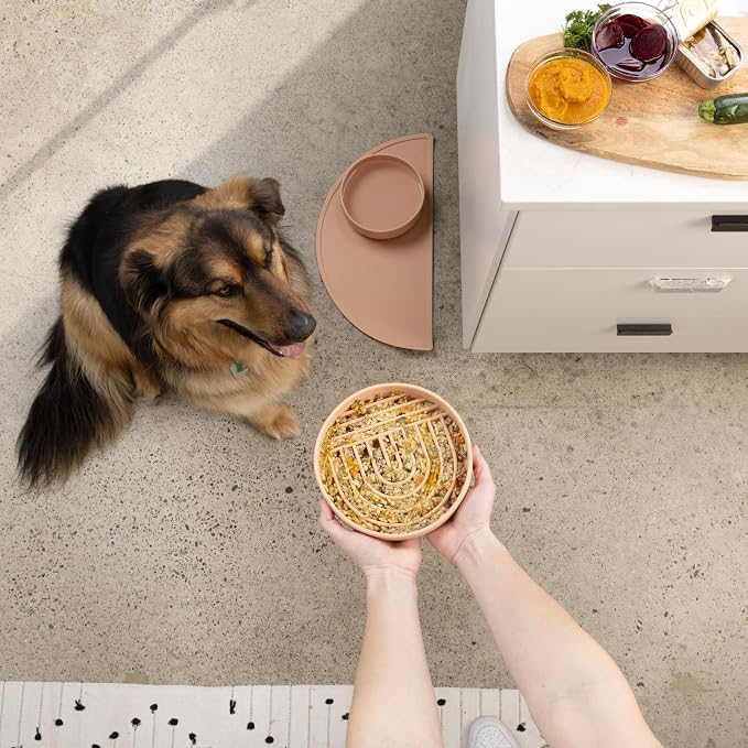 Should We Go? Slow Feeder for Dogs & Puppies, The Slowdown Bowl Silicone Slow - Image 9