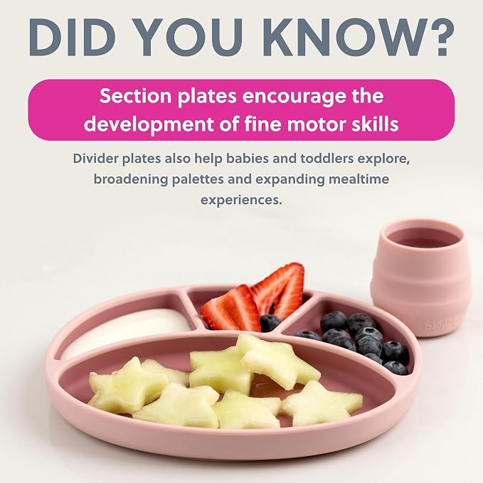 BIBaDO - Silicone Suction Divider Plate - Toddler Plates - Help Develop Motor - Image 6