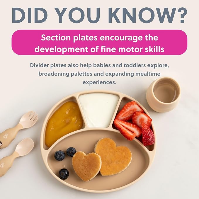 BIBaDO - Silicone Suction Divider Plate - Toddler Plates - Help Develop Motor - Image 6