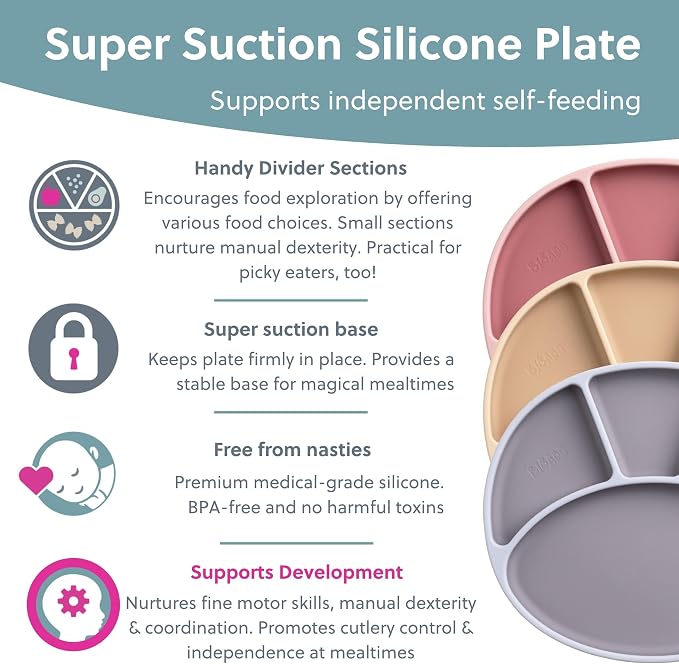 BIBaDO - Silicone Suction Divider Plate - Toddler Plates - Help Develop Motor - Image 3