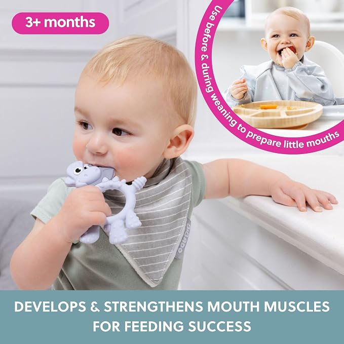 Bibado - Dotty The Dinosaur Teething Toys, Mist - Multi-Sensory Teether - BPA - Image 2
